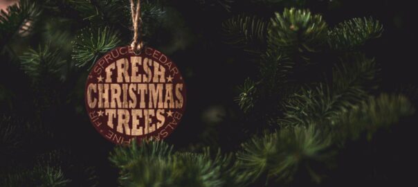 Bring Magic Home with Flocked 9-Foot Christmas Trees